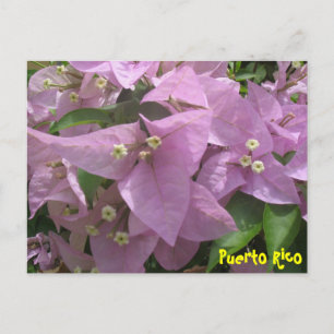 Floral Briefkaart 3