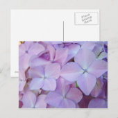 Floral briefkaarten Lavender Paars Hydrangea Flowe (Voorkant / Achterkant)
