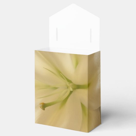 Floral bruiloft gunst tent dozen bedankdoosjes (Geopend)