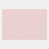 Floral Bunny Pasen Wrapping Paper Sheet Set van 3 (Voorkant 3)