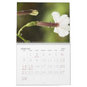 Floral Calendar Kalender (Feb 2027)