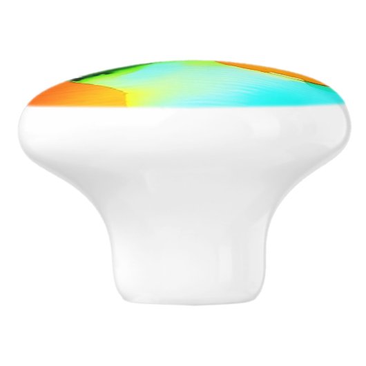 Floral California Poppies Wildbloemen Sinaasappel  Keramische Knop (Zijkant)