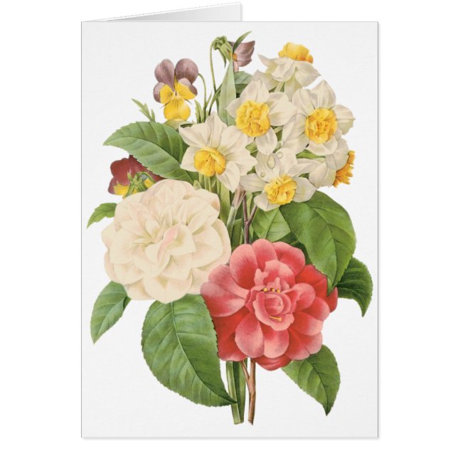  Floral Camelia Daffodil Flowers door Redoute (Voorkant)