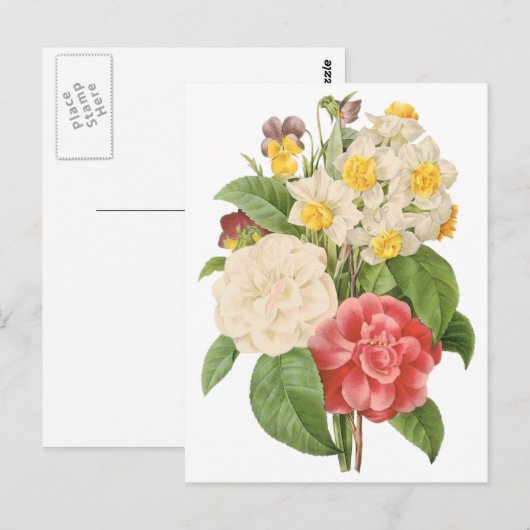  Floral Camelia Daffodil Flowers door Redoute Briefkaart (Voorkant / Achterkant)