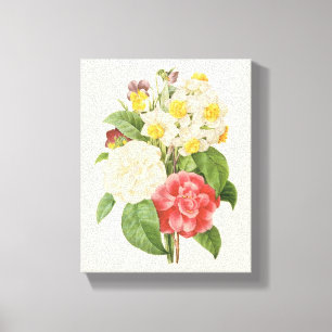  Floral Camelia Daffodil Flowers door Redoute Canvas Afdruk