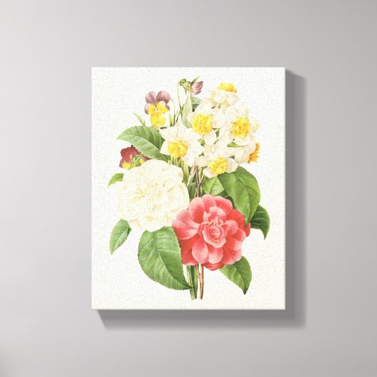  Floral Camelia Daffodil Flowers door Redoute Canvas Afdruk (Voorkant)