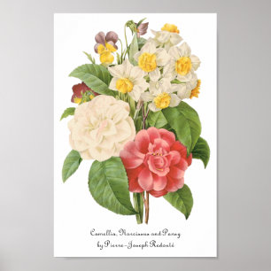  Floral Camelia Daffodil Flowers door Redoute Poster