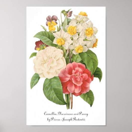  Floral Camelia Daffodil Flowers door Redoute Poster (Voorkant)