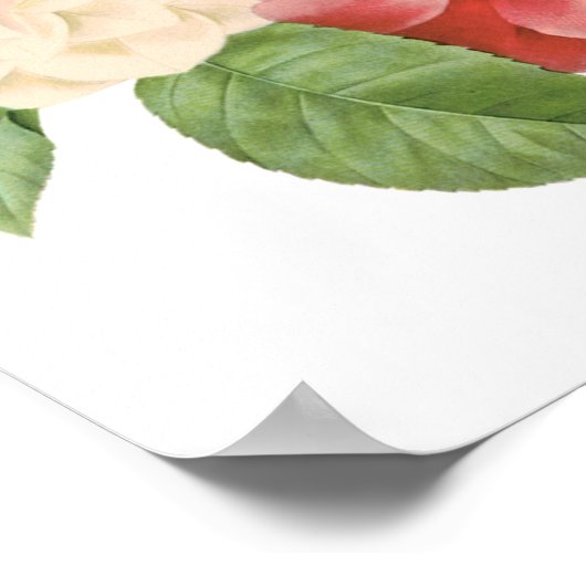  Floral Camelia Daffodil Flowers door Redoute Poster (Hoek)