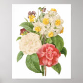Floral Camelia Daffodil Flowers door Redoute Poster (Voorkant)