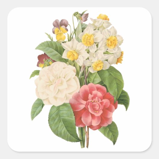  Floral Camelia Daffodil Flowers door Redoute Vierkante Sticker (Voorkant)