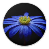 Floral Ceramic Knob. Keramische Knop (Voorkant)