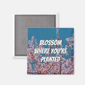 Floral Cherry BLOSSOM WAAR JE BENT GEPLANT Magneet (Voorkant / Achterkant)