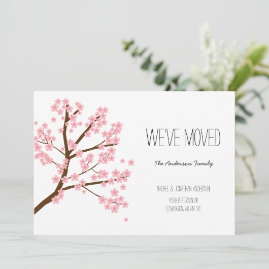 Floral Cherry Blossoms Sakura Tree We hebben verpl Kaart (Staand voorkant)