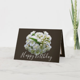 Floral Chic Boeket Witte Spirea Bloemen Verjaardag Kaart