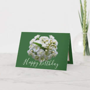 Floral Chic Boeket Witte Spirea Bloemen Verjaardag Kaart