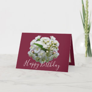 Floral Chic Boeket Witte Spirea Bloemen Verjaardag Kaart