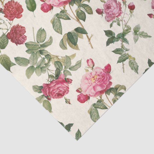  Floral Cream Pink Rose Tissuepapier (Detail)