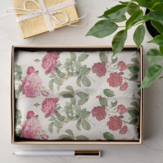  Floral Cream Pink Rose Tissuepapier (Geschenk)