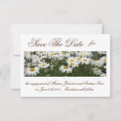 Floral daisies behalve de datumuitnodiging save the date (Voorkant)