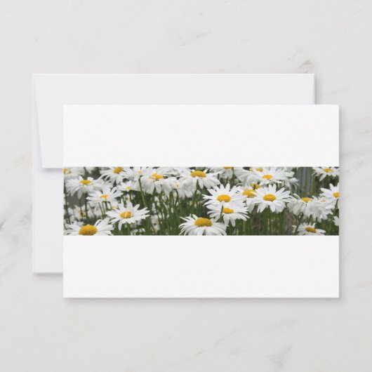 Floral Daisies save The Date Invitation (Achterkant)