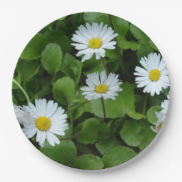 Floral Daisy Custom Paper Bord 9 in