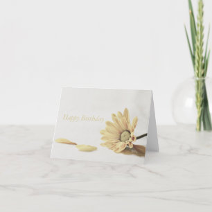 Floral - Daisy Kaart