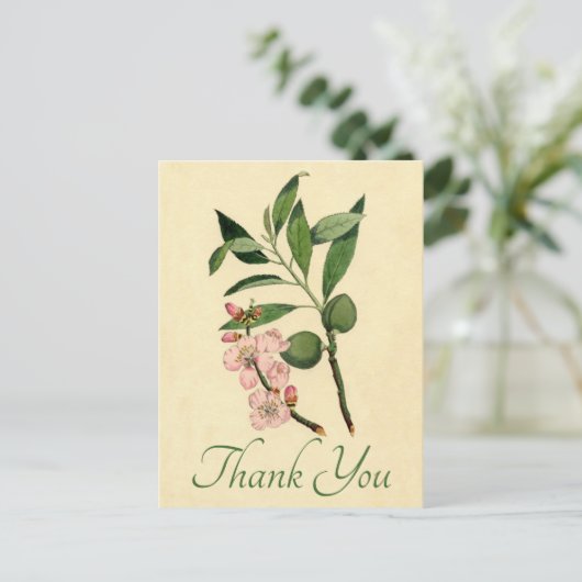  Floral Dank u roze amandelblazer Briefkaart (Staand voorkant)