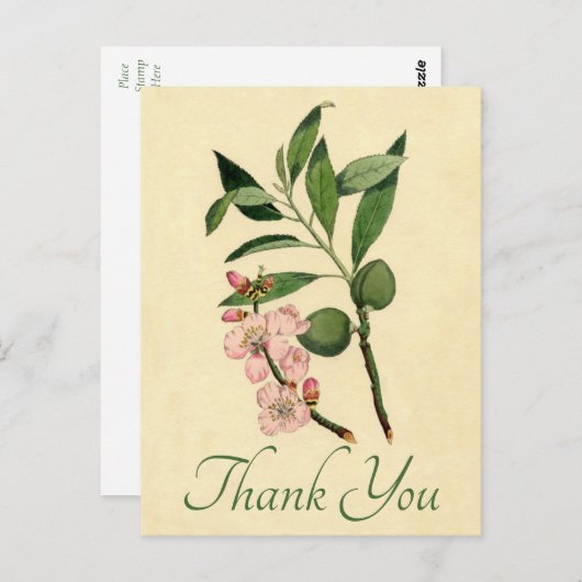  Floral Dank u roze amandelblazer Briefkaart (Voorkant / Achterkant)