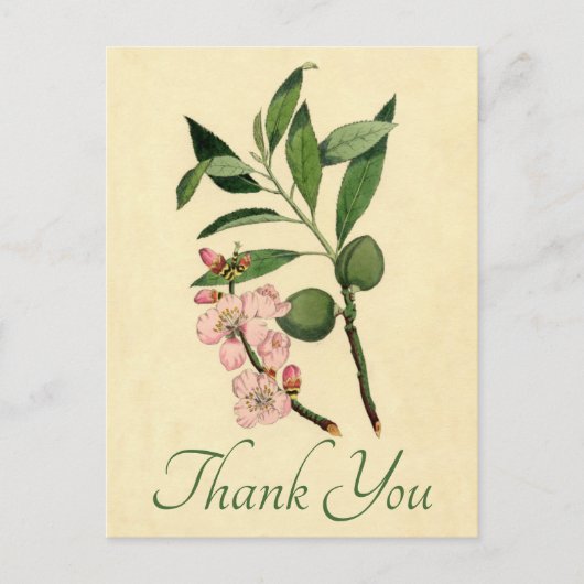  Floral Dank u roze amandelblazer Briefkaart (Voorkant)