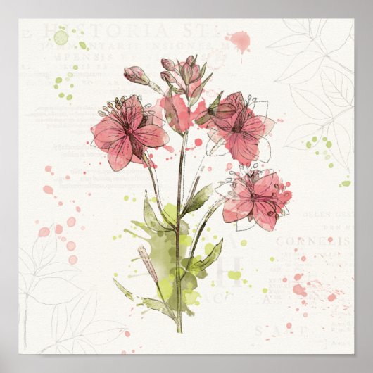Floral Dark Pink Splash Poster (Voorkant)