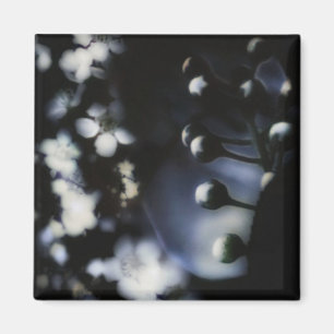 Floral Deep Magneet
