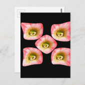 Floral Delight Briefkaart (Voorkant / Achterkant)