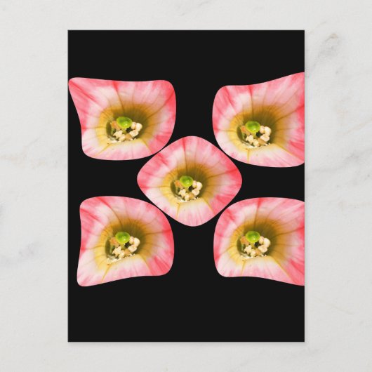 Floral Delight Briefkaart (Voorkant)