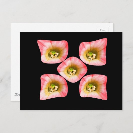 Floral Delight Briefkaart (Voorkant / Achterkant)