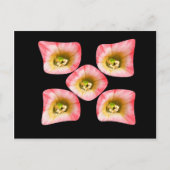 Floral Delight Briefkaart (Voorkant)