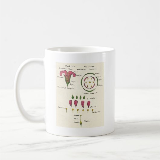 Floral Diagram Koffiemok (Links)