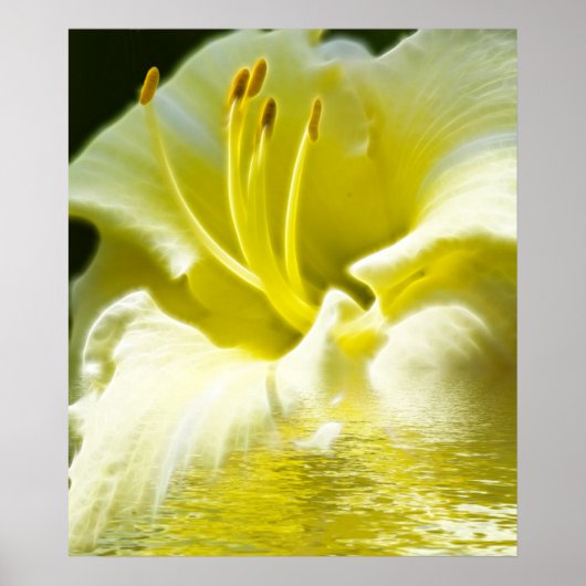 Floral Digital Art Poster (Voorkant)