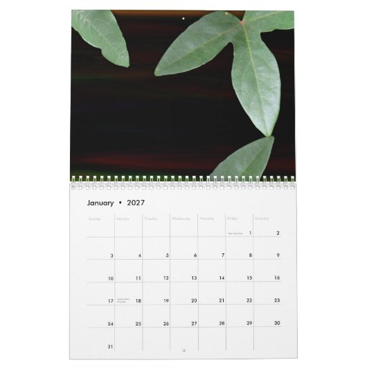 Floral Dreams 2009 Kalender (Jan 2027)