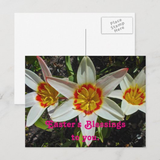 Floral Easter Blessing Feestdagenkaart (Voorkant / Achterkant)