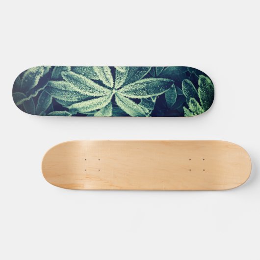 Floral Elegance: Frozen Planten Skateboard (Horizontaal)
