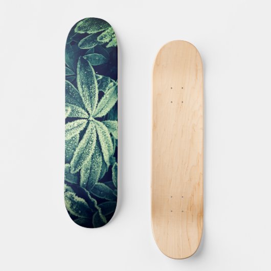 Floral Elegance: Frozen Planten Skateboard (Voorkant)