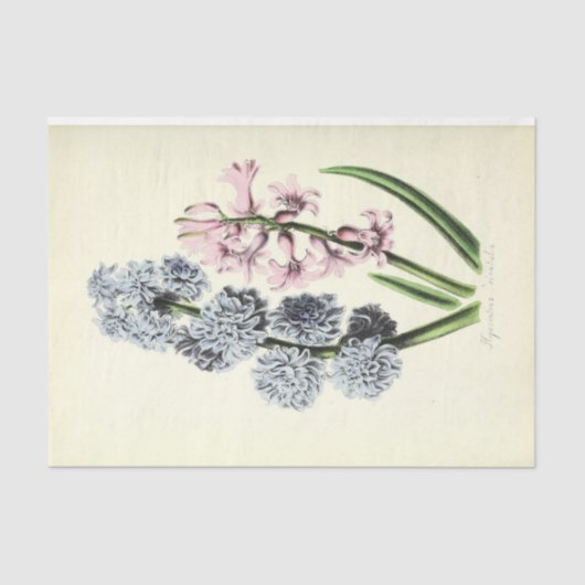 Floral Ephemera Decoupage Blauw en Roze Tissuepapier (Voorkant)