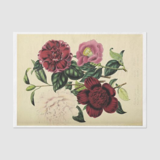 Floral Ephemera Decoupage Bourgogne Pink Blush Tissuepapier (Voorkant)