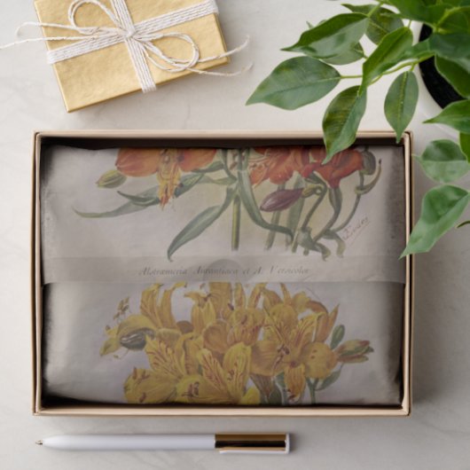 Floral Ephemera Decoupage Geel Sinaasappel Tissuepapier (Geschenk)