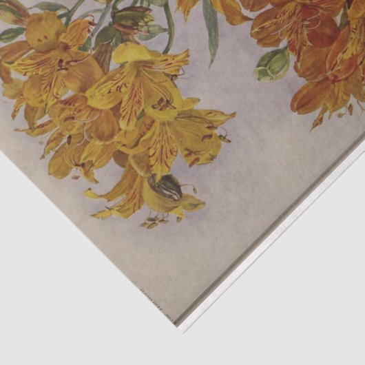 Floral Ephemera Decoupage Geel Sinaasappel Tissuepapier (Detail)