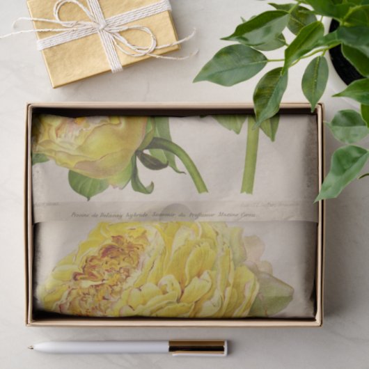 Floral Ephemera Decoupage Gele Rozen Tissuepapier (Geschenk)