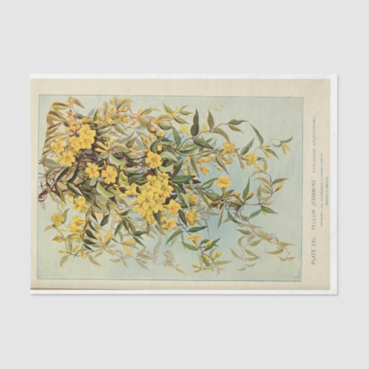 Floral Ephemera Decoupage Jasmine Zonnebloemen Tissuepapier (Voorkant)