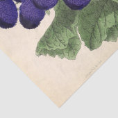 Floral Ephemera Decoupage Paarse Franse bloemen Ti Tissuepapier (Detail)