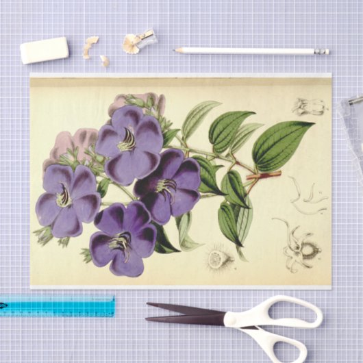 Floral Ephemera Decoupage Paarse Tissuepapier (Craft)